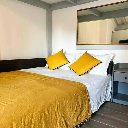 公寓 Beautiful Floor & Terrasse 尼斯