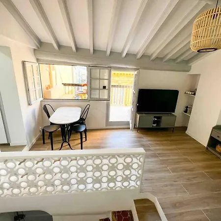 Beautiful Floor & Terrasse 公寓 尼斯