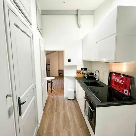 公寓 Beautiful Floor & Terrasse 尼斯